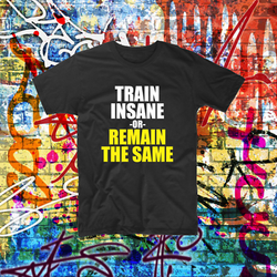 Train Insane Custom Shirt Gym Muscle Body Printed Tee Shirt