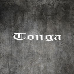 Tonga Sticker coat of arms flag car vinyl decal outdoor shield tonga 1000x170